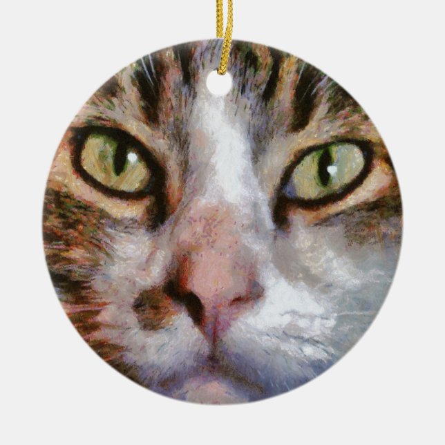 Décoration En Céramique Long Haied Tabby Chat Fermer Portrait (Devant)