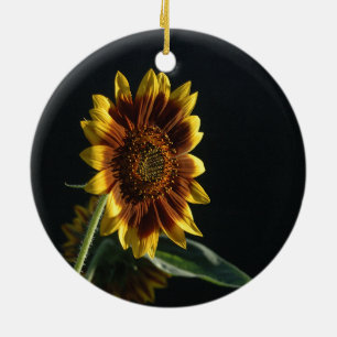 Décoration En Céramique Lumière sur un magnifique tournesol en céramique