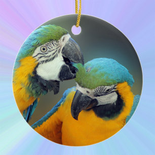 Décoration En Céramique Macaws in love
