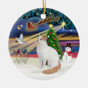 Décoration En Céramique Magie de Noël - Chat Van Turc