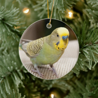 Décoration En Céramique Male Yellow and Green Parakeet