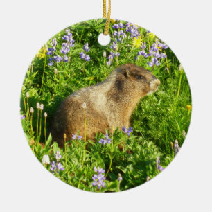 Décoration En Céramique Marmot dans le Mont Rainier Fleurs sauvages