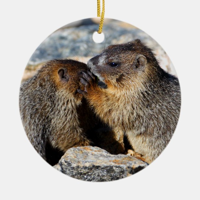 Décoration En Céramique marmottes de bébé (Devant)
