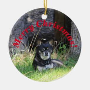Décoration En Céramique Meilleur Ami D'Animaux De Compagnie Pour Toujours
