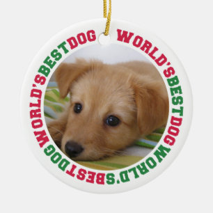 Décoration En Céramique Meilleur chien vert patte rouge animal de compagni