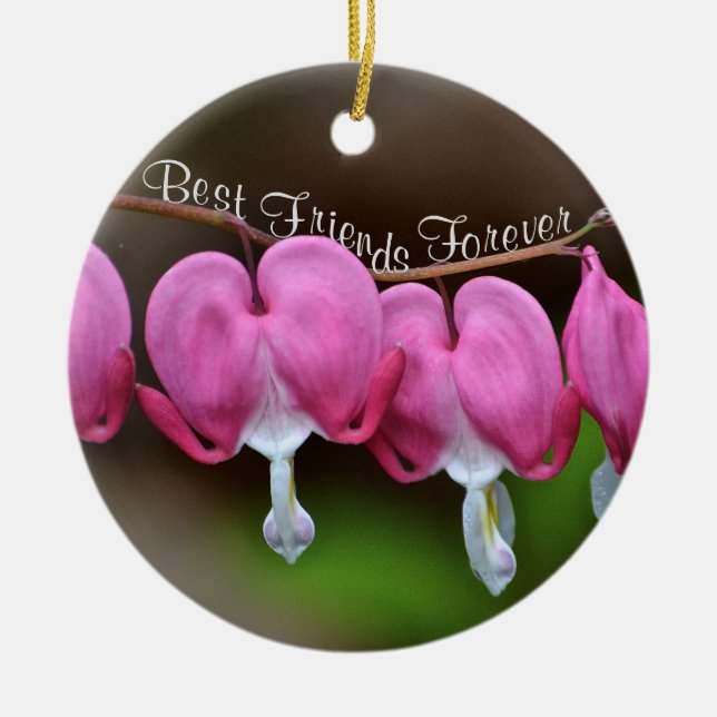 Décoration En Céramique Meilleurs amis pour toujours (Devant)