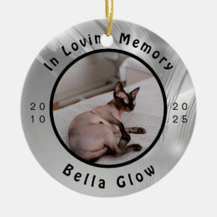 Décoration En Céramique Mémorial de chat Sphynx en argent - Art de souveni