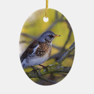 Décoration En Céramique Merle de genièvre