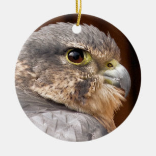 DÉCORATION EN CÉRAMIQUE MERLIN FALCON OISEAU DE PREY