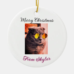 Décoration En Céramique Merveilleux chien de chat de Noël animal de compag