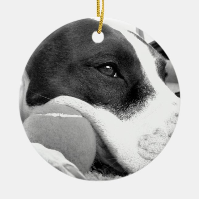 Décoration En Céramique mignon chien pitbulle à l'air triste noir blanc av (Devant)