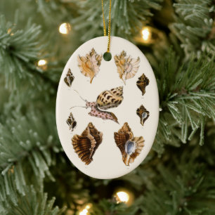 Décoration En Céramique Mollusques et escargots, organismes marins vintage