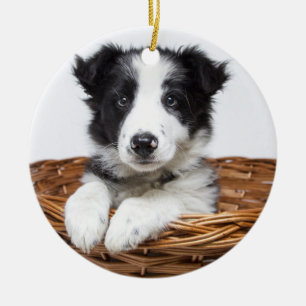 Décoration En Céramique Monogramme personnalisé et photo pour animaux de