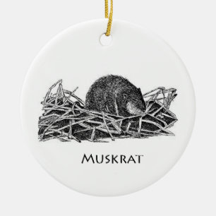Décoration En Céramique Muskrat