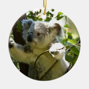 Décoration En Céramique Nature de destin d'Aussi d'ours de koala à