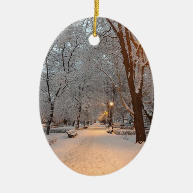 Décoration En Céramique Neige dans le parc Sibiu (Devant)