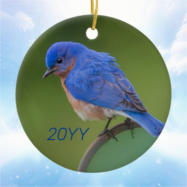 Décoration En Céramique Noël annuel du Bluebird (Créateur téléchargé)