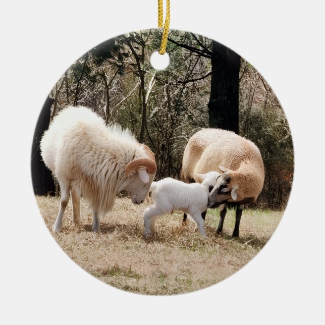 Décoration En Céramique Noël dans une ferme (Devant)