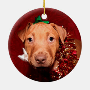 Décoration En Céramique Noël de chiot de Pitbull