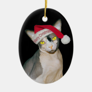 Décoration En Céramique Noël de Ninja Père Noël de chat de Sphynx