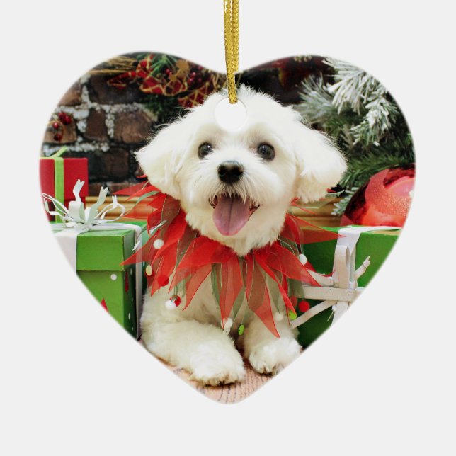 Décoration En Céramique Noël - maltais - Miley (Devant)