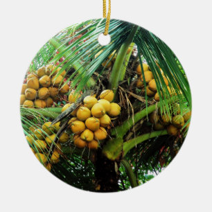 Décoration En Céramique noix de coco sur l'arbre