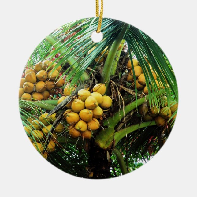 Décoration En Céramique noix de coco sur l'arbre (Devant)