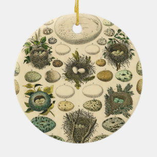 Décoration En Céramique OEuf vintage Nid Art Peinture OEufs