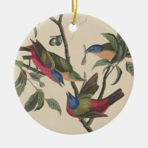 Décoration En Céramique Oeuvre d'art vintage d'oiseau coloré de Audubon, B