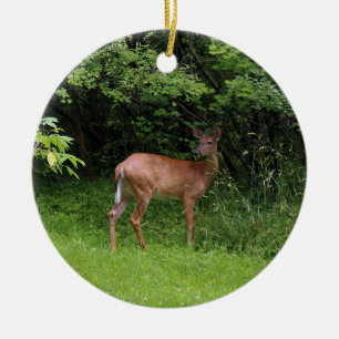 Décoration En Céramique Oh cerfs communs !