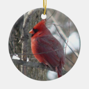 Décoration En Céramique Oiseau cardinal de photographie-chanson en