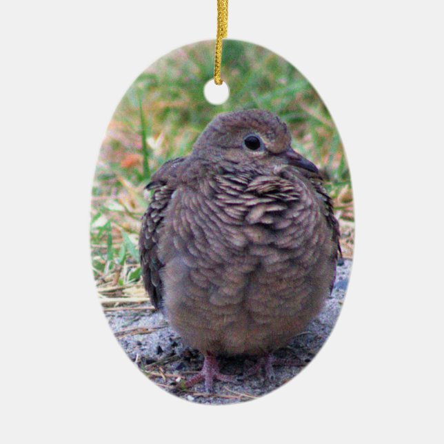 Décoration En Céramique Oiseau de colombe en deuil (Devant)