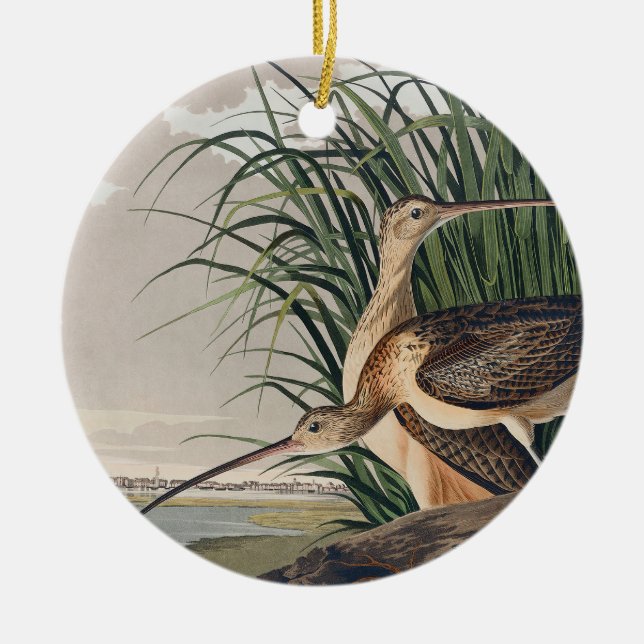 Décoration En Céramique Oiseau de Courlis à long bec Audubon (Devant)
