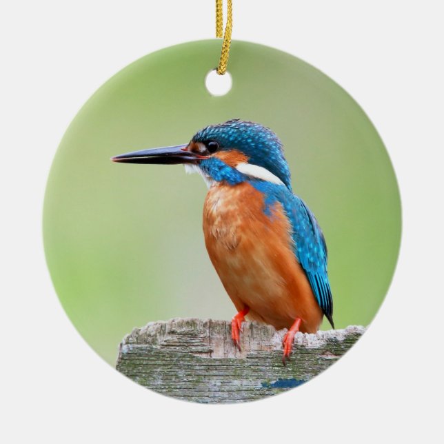 Décoration En Céramique Oiseau de martin-pêcheur (Devant)