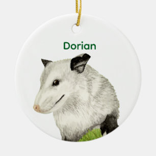 Décoration En Céramique Opossum