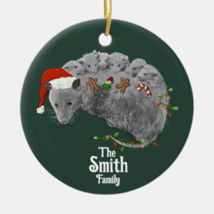 Décoration En Céramique Opossum Noël Baby Possum enveloppé dans les lumièr