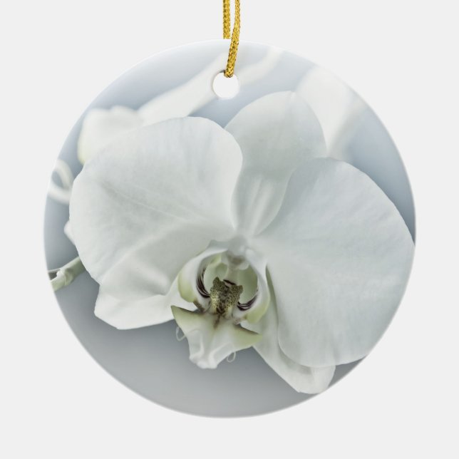 Décoration En Céramique Orchidée blanche Phalaenopsis (Devant)