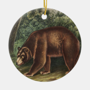 Décoration En Céramique Ours de cannelle (Ursus Americanus var. Cinnamonum