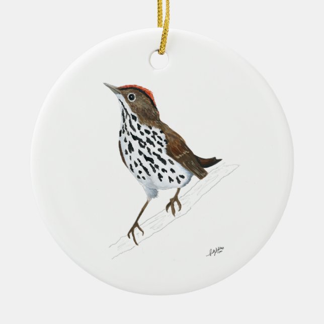 Décoration En Céramique Ovenbird (Devant)