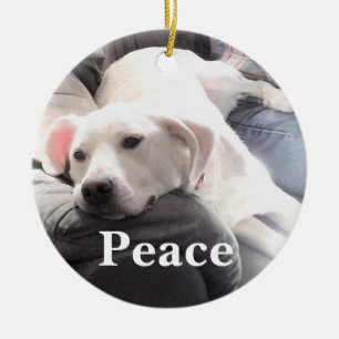 Décoration En Céramique Paix aux chiens blancs mignons