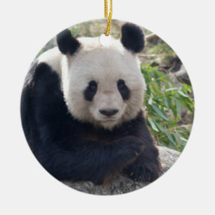 Décoration En Céramique Panda Géant