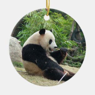 Décoration En Céramique Panda géant dans un zoo pour animaux sauvages en p