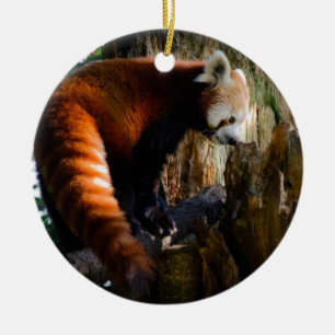 Décoration En Céramique panda rouge curieux