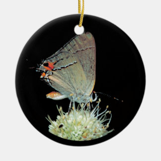 Décoration En Céramique Papillon gris Hairstreak
