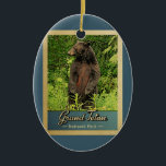 Décoration En Céramique Parc national de Grand Teton Ours Vintage<br><div class="desc">Style de voyage vintage Grand Teton National Park image avec un ours noir debout sur ses pattes arrières,  regardant dans la forêt verte.</div>