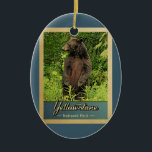 Décoration En Céramique Parc national de Yellowstone Ours Vintage<br><div class="desc">Vintage ornement de voyage Yellowstone National Park image avec un ours noir debout sur ses pattes arrières,  regardant dans la forêt verte.</div>