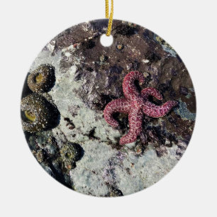 Décoration En Céramique Parc Rock State de Sisters