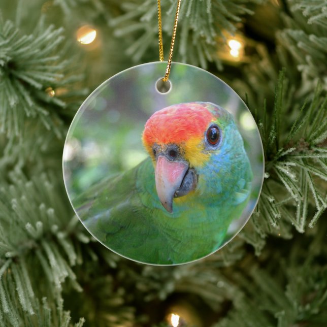 Décoration En Céramique Parrot Amazon II roux (Arbre)