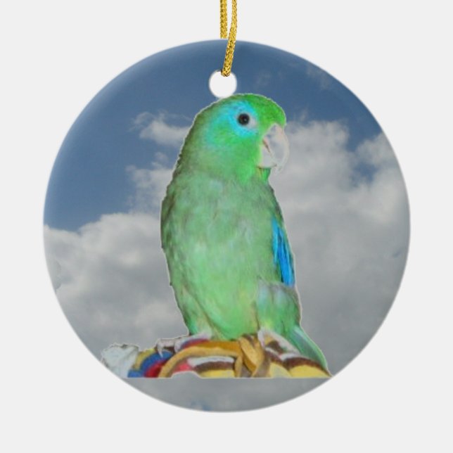 Décoration En Céramique Parrotlet Spectaculaire (Devant)