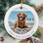 Décoration En Céramique Pawsitly Covid Quarantaine Purple Dog Pet Photo<br><div class="desc">Meilleure année à jamais ! Selon les chiens ! Décorez votre arbre ou envoyez un cadeau spécial avec ce super mignon personnalisé photo d'animal de compagnie de noël ornement personnalisé. Cet ornement de Noël de chien en quarantaine pandémique sera un favori de tous les amoureux de les chiens. Ajoutez la...</div>
